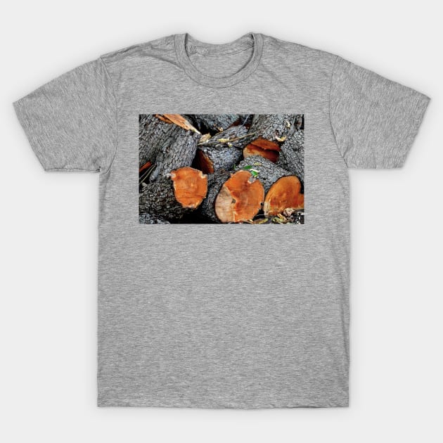 Log Pile T-Shirt by LaurieMinor